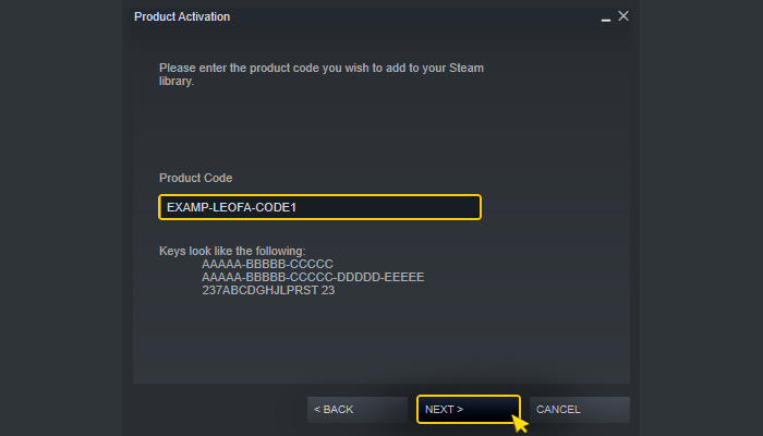 Aktivering på Steam. Steg 3